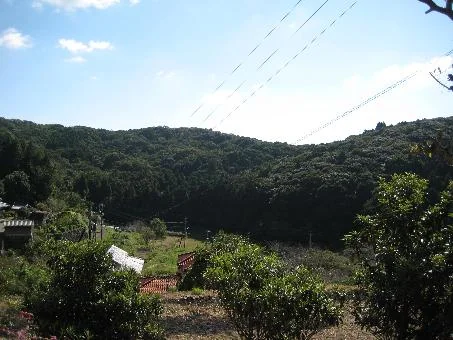 View 11