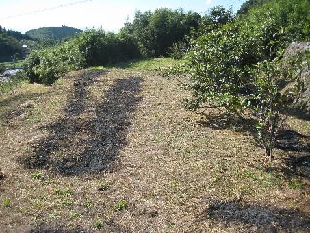 View 12