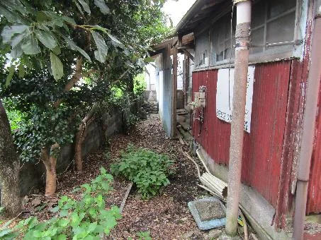 View 12