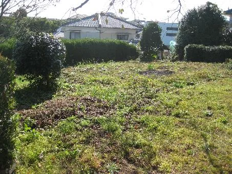 View 13