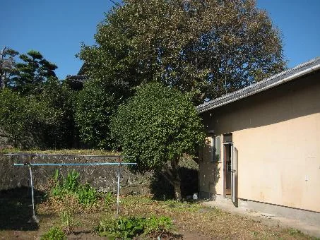 View 14