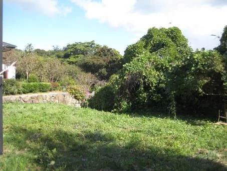 View 11