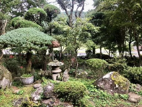 View 6