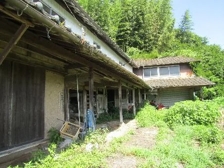 View 12