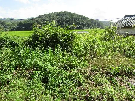 View 14