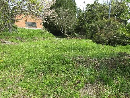 View 14
