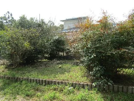 View 13