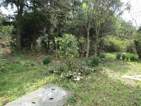 View 14