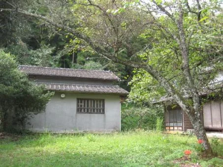 View 11