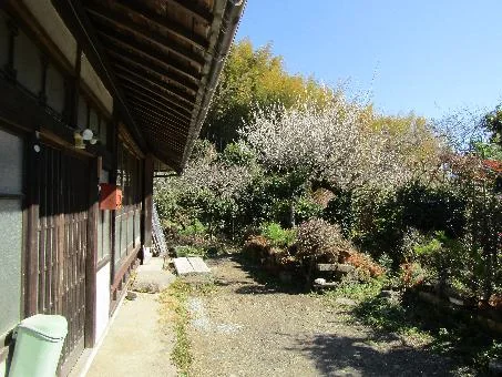 View 11