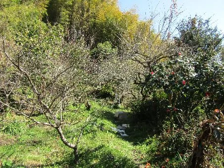 View 13