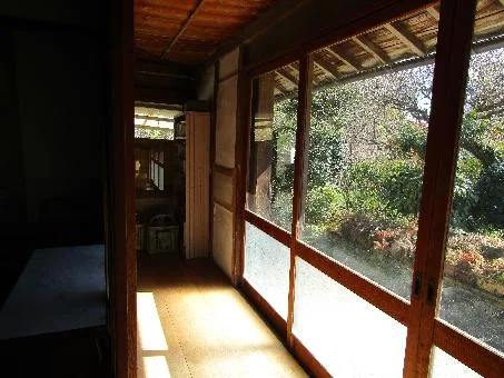 View 6