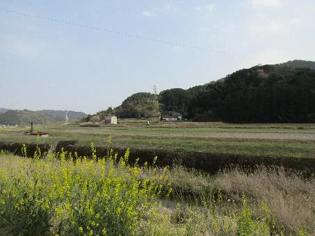 View 13