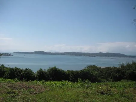 View 11