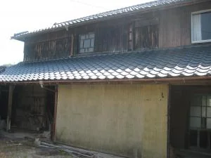 View 10