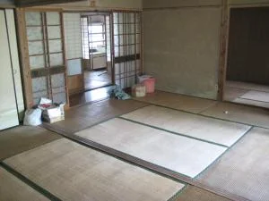 View 3