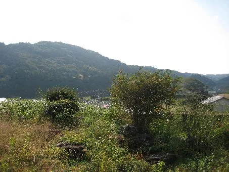 View 11