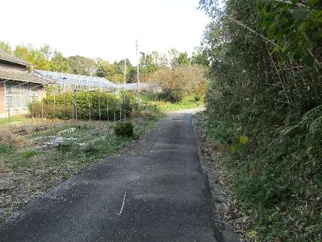 View 13
