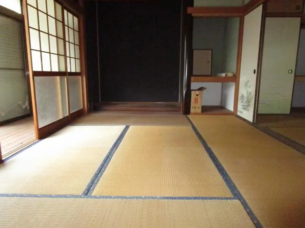 View 3