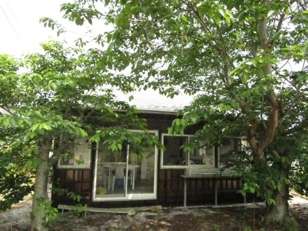 View 18