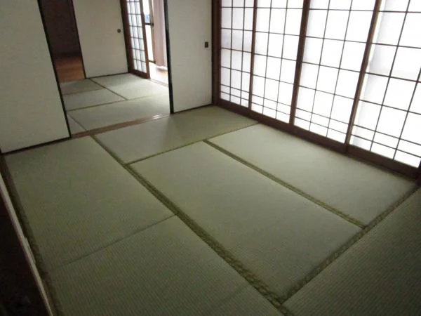 View 2