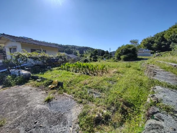 View 17