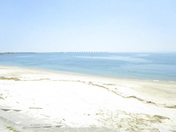 View 2