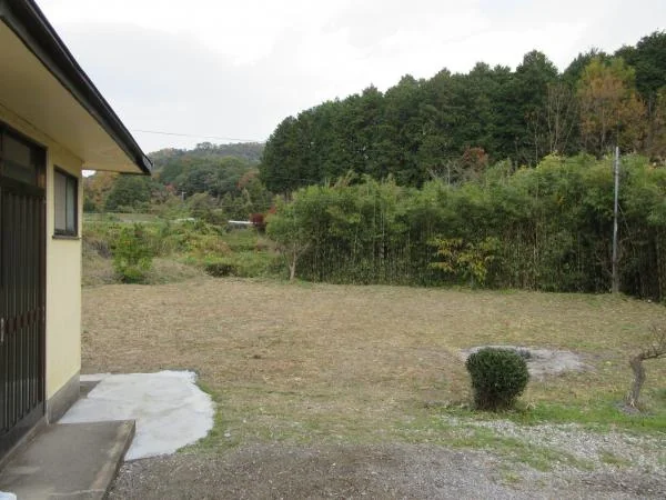 View 7