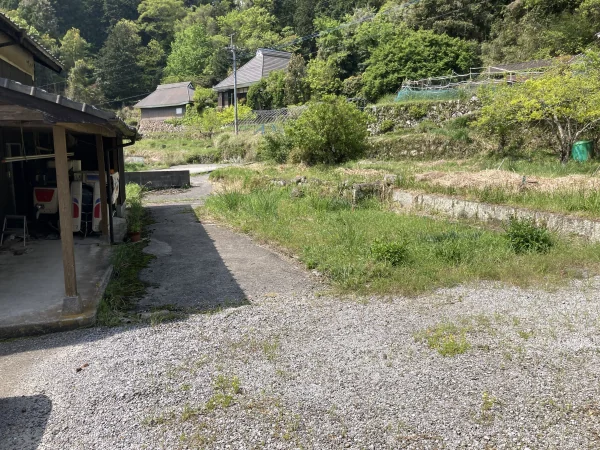 View 15