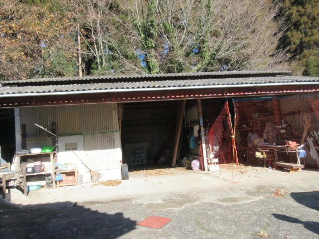 View 24