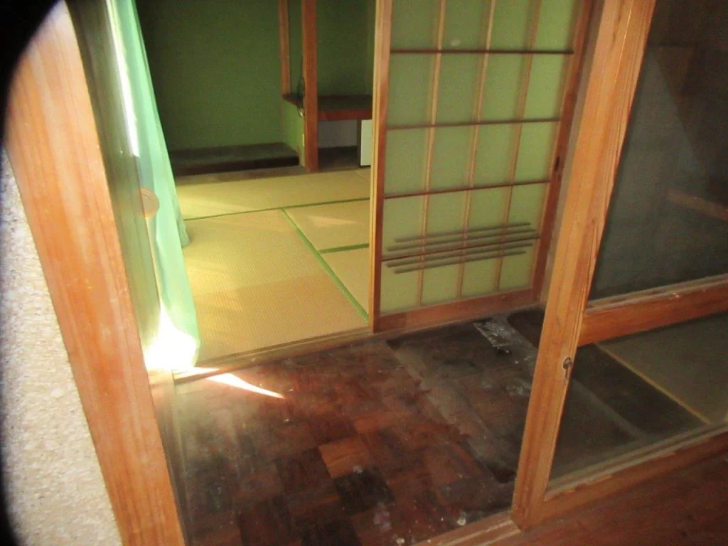 View 11
