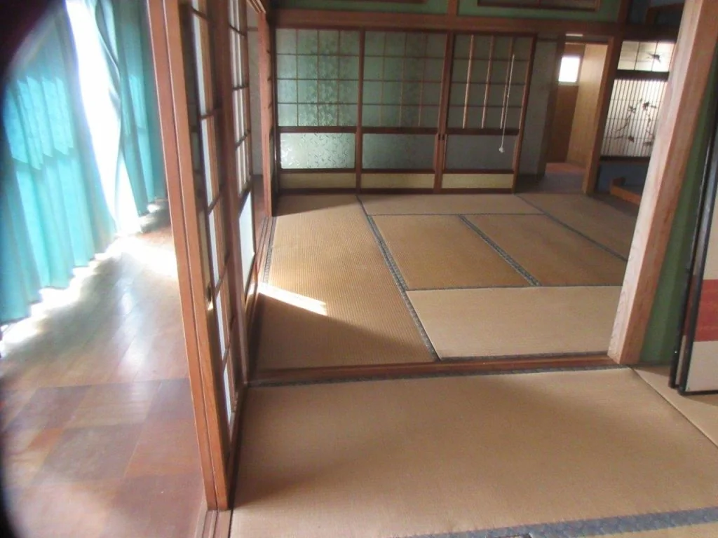 View 8