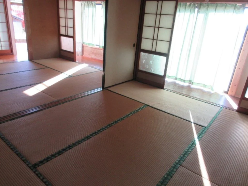 View 5