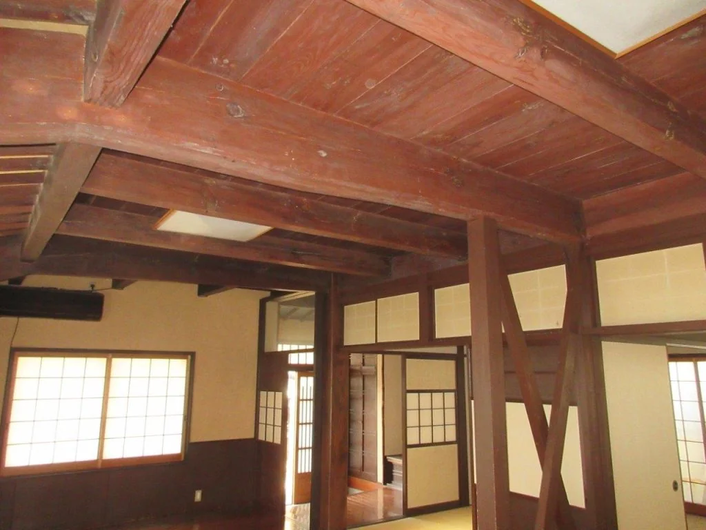 View 14