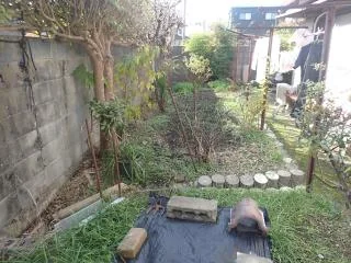 View 11