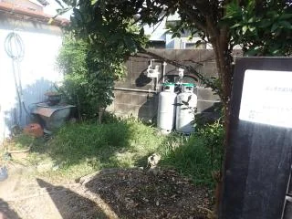 View 12