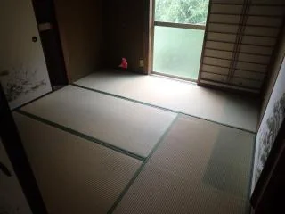 View 19
