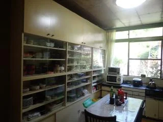 View 41