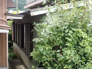 View 10