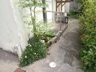 View 18