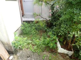 View 19