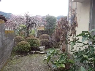 View 10