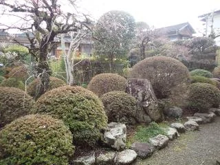 View 11