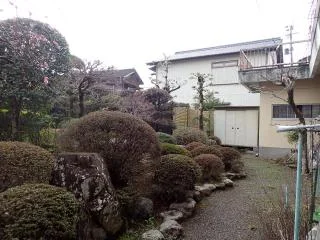 View 12