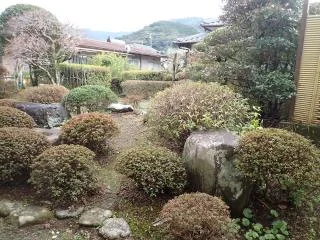 View 15
