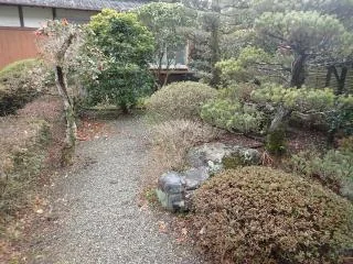 View 16