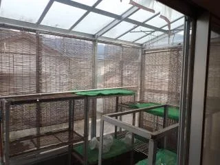 View 59