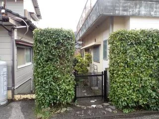 View 6
