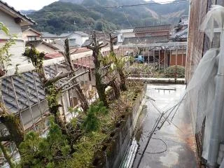 View 60