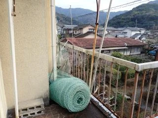 View 65
